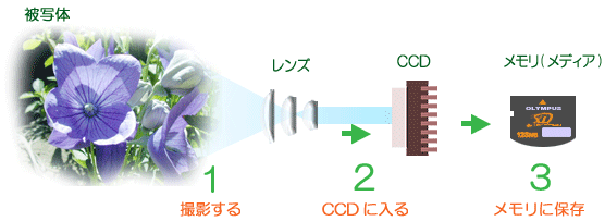 Be烁ɕۑ܂