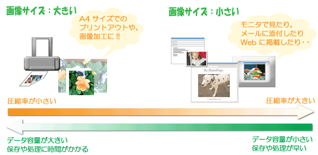 掿 (摜TCYk) Ƃ̗pr