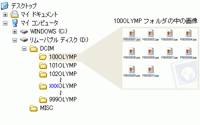 『DCIM\XXXOLYMP』 の場合のフォルダの階層構造