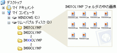 『IMXXOLYMP』 の場合のフォルダの階層構造