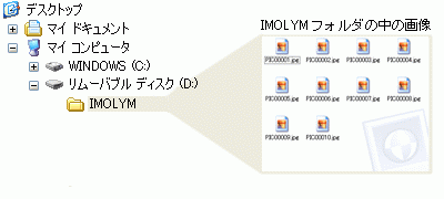 『IMOLYM』 の場合のフォルダの階層構造