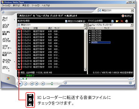 ]鉹yt@CɃ`FbN܂B