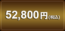 52,800円(税込)